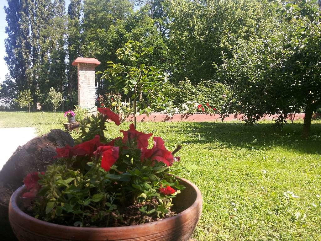Alloggio Agrituristico Dodici-Apostoli Casumaro 外观 照片